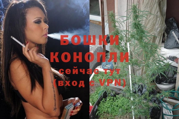 каннабис Алексеевка