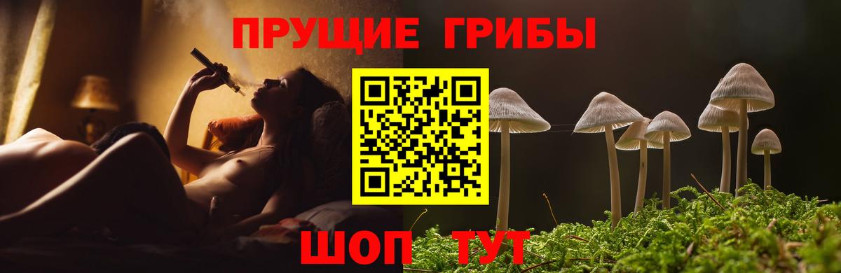 Галлюциногенные грибы Cubensis Биробиджан