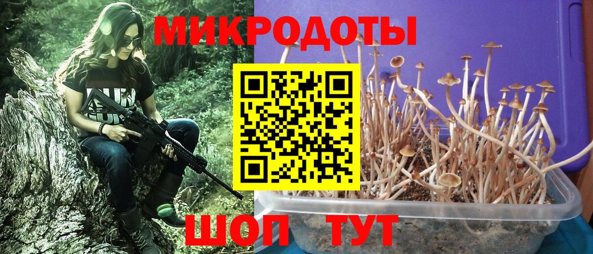 Галлюциногенные грибы прущие грибы  Псилоцибиновые грибы GOLDEN TEACHER  Биробиджан  Вход с VPN 